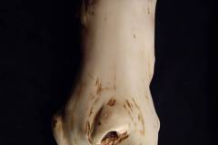 imgp7345_