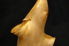 imgp7624