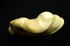 imgp7410_