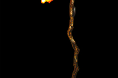 IMGP4224_Web