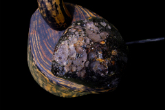 IMGP4253_Web