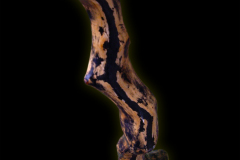 IMGP4257_Web